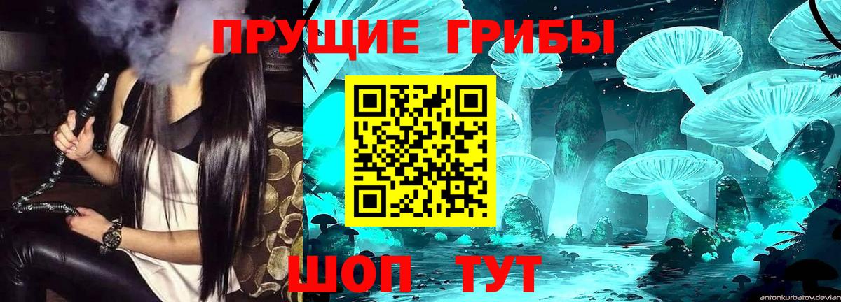 Псилоцибиновые грибы мицелий Богданович