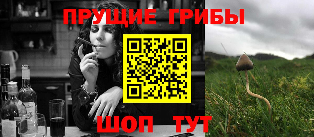 Псилоцибиновые грибы мухоморы  Вход с VPN  Галлюциногенные грибы Cubensis  Богданович 